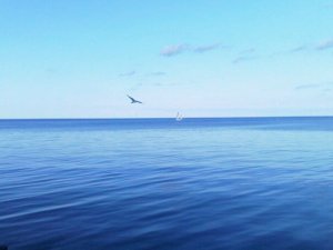 lake michigan horizon