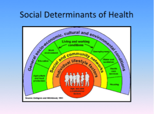 social determinants of health